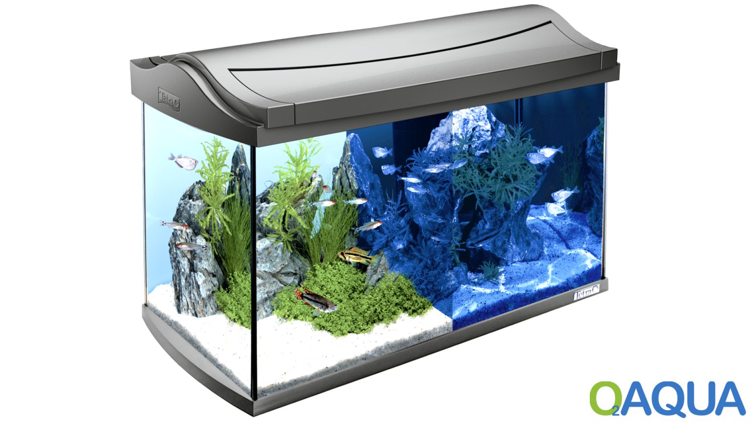 Tetra AquaArt LED Aquarium Komplettset 30L Und 60L Aquarium Set Komplett